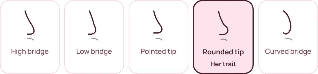 Nose shapes: high bridge, low bridge, pointed tip, rounded tip, curved bridge. Hers is a rounded tip.