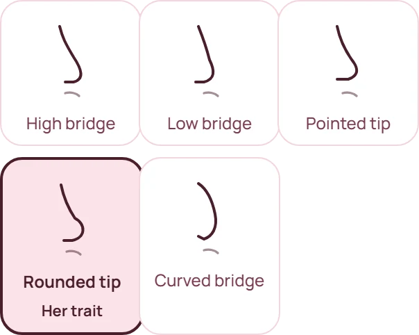 Nose shapes: high bridge, low bridge, pointed tip, rounded tip, curved bridge. Hers is a rounded tip.